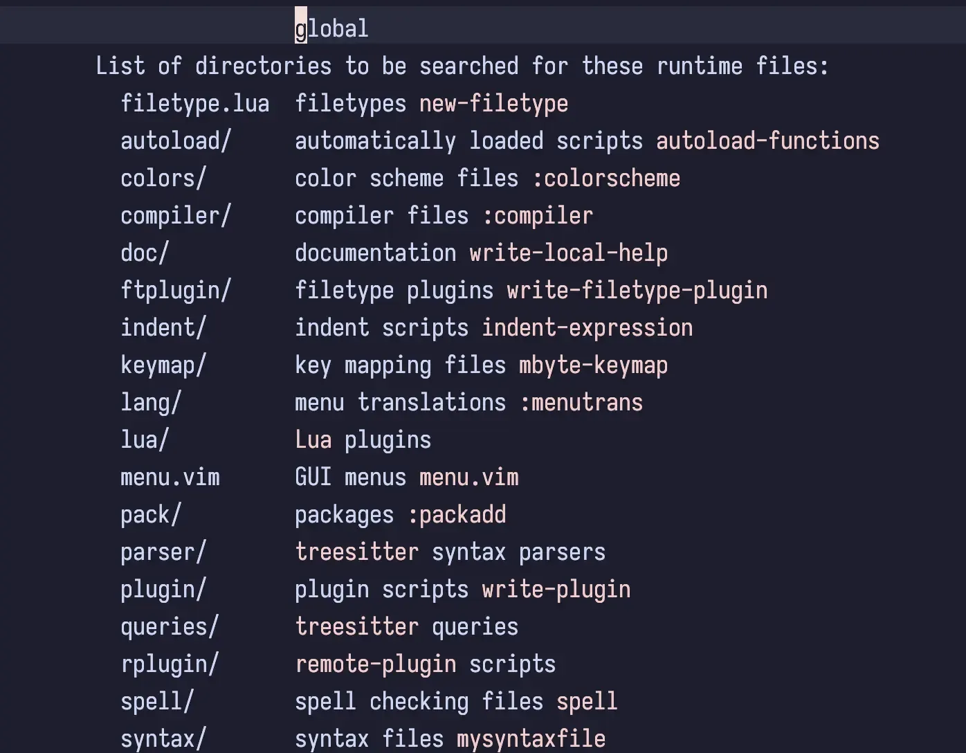 A screenshot of what running :h runtimepath in Neovim opens. Includes a list of the directories which are searched for runtime files.